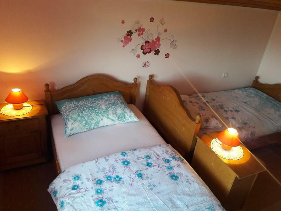 Kuca Za Odmor Anamarija Ogulin Exterior foto