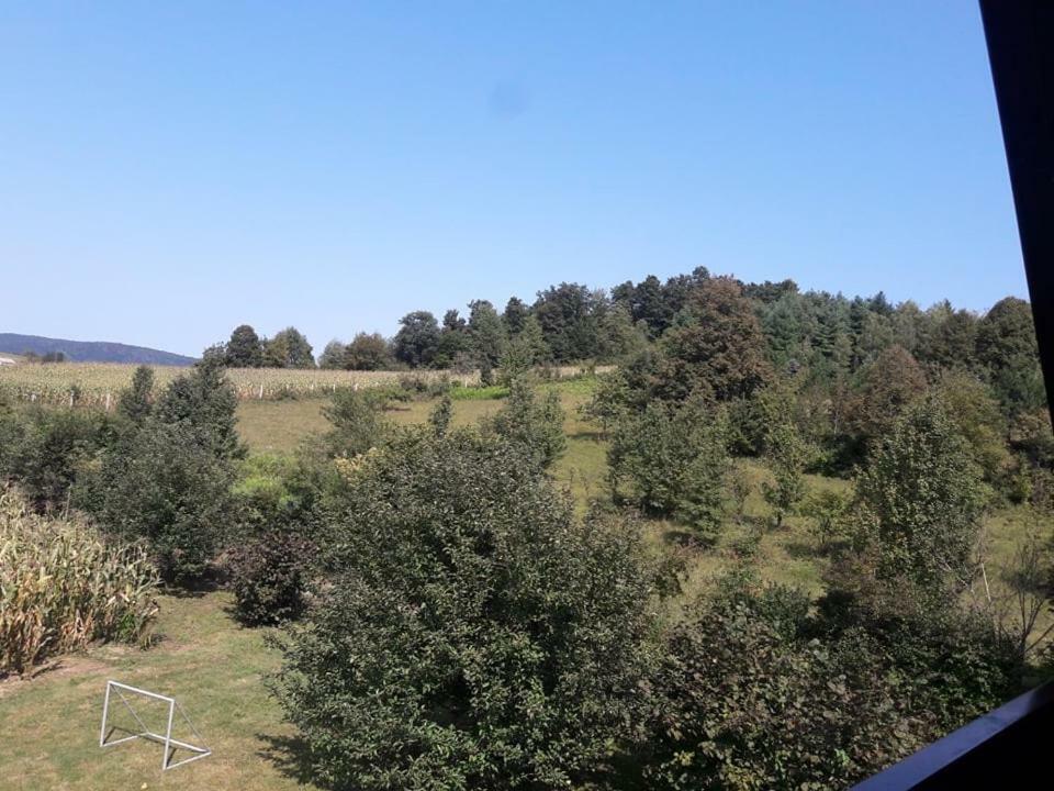 Kuca Za Odmor Anamarija Ogulin Exterior foto
